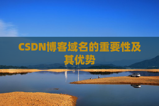 CSDN博客域名的重要性及其优势